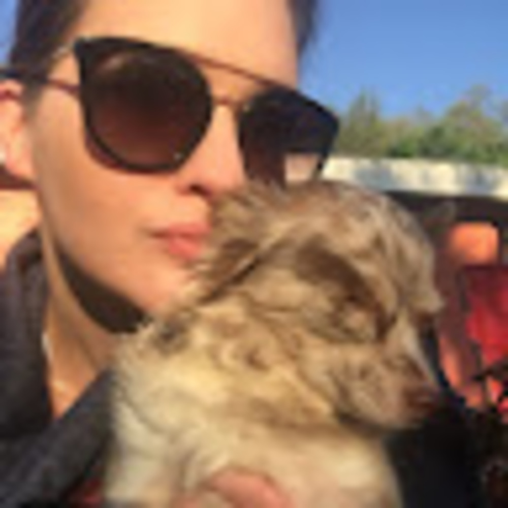 Meet your Posher, Amsthenotorious